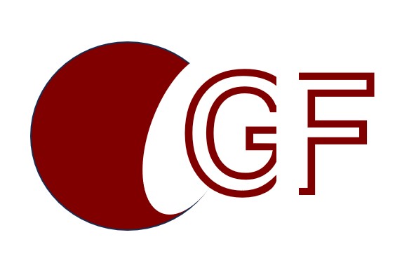 Gilles Fasel, Thérapeute